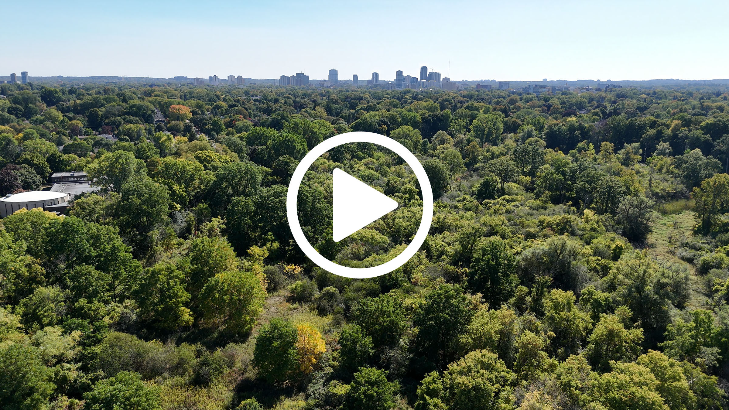 London's Forestry Capital preview